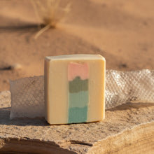 bar of soap with four level center against snake shed in desert background